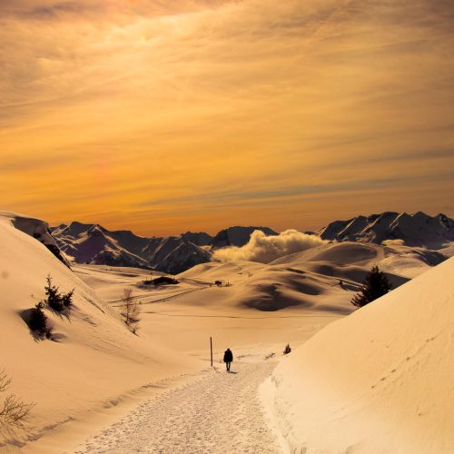 photo print beauty vision instagram